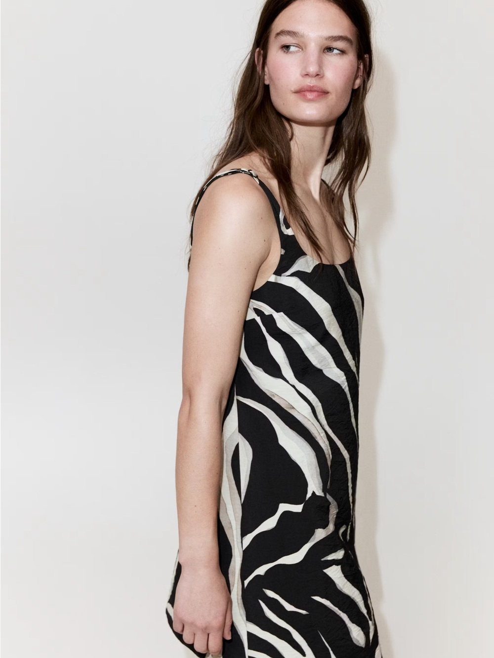 NWT Mango Zebra Dress